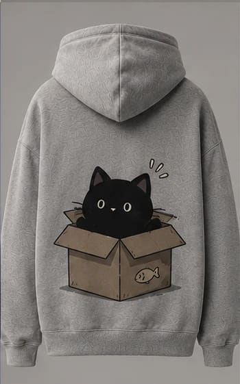 Cat In A Box Hoodie